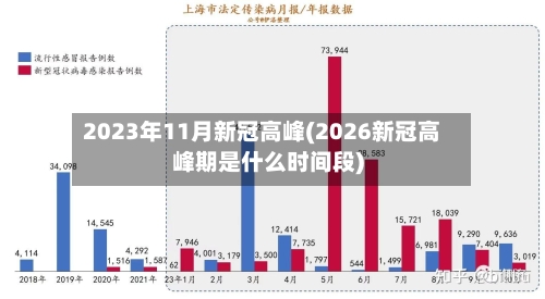 2023年11月新冠高峰(2026新冠高峰期是什么时间段)-第1张图片