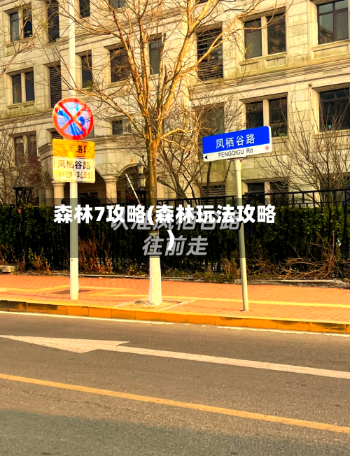森林7攻略(森林玩法攻略)-第1张图片
