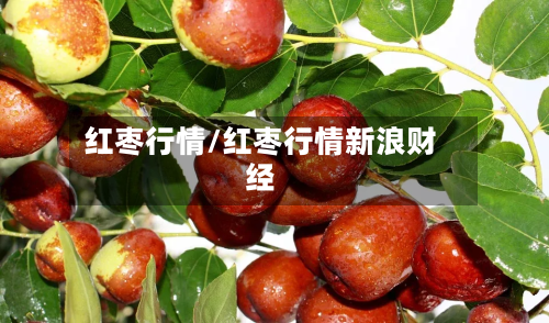 红枣行情/红枣行情新浪财经-第1张图片