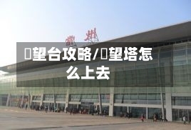瞭望台攻略/瞭望塔怎么上去-第1张图片