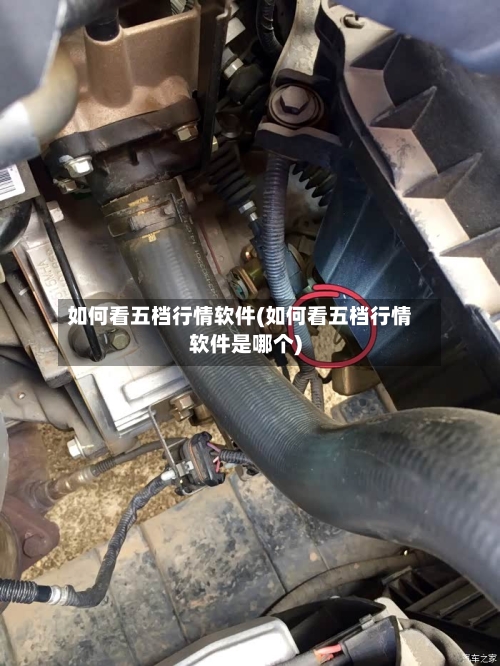 如何看五档行情软件(如何看五档行情软件是哪个)-第1张图片