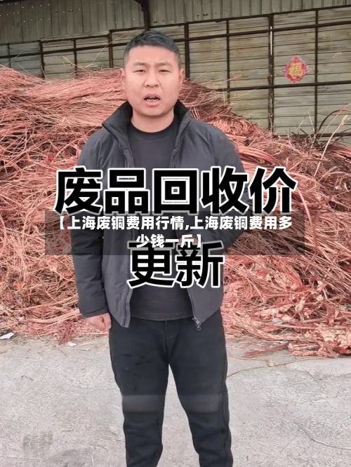 【上海废铜费用行情,上海废铜费用多少钱一斤】-第1张图片