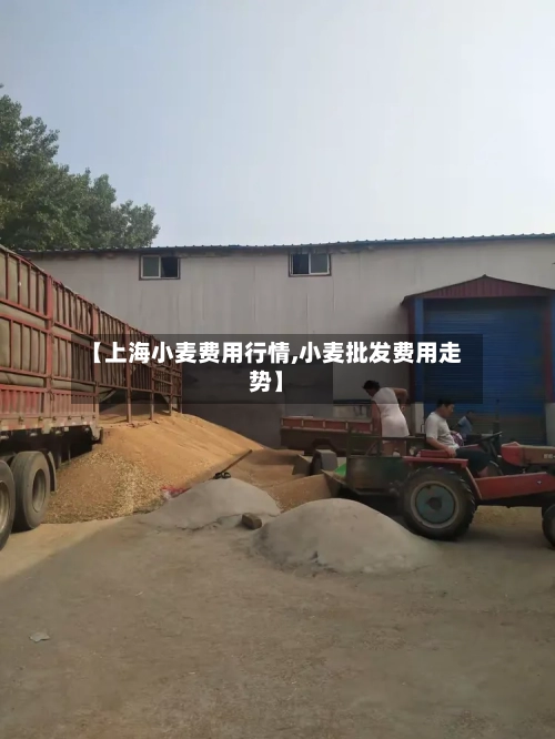 【上海小麦费用行情,小麦批发费用走势】-第1张图片