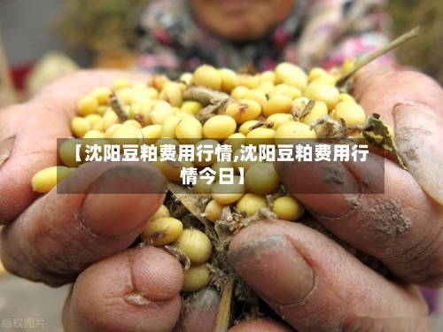 【沈阳豆粕费用行情,沈阳豆粕费用行情今日】-第1张图片