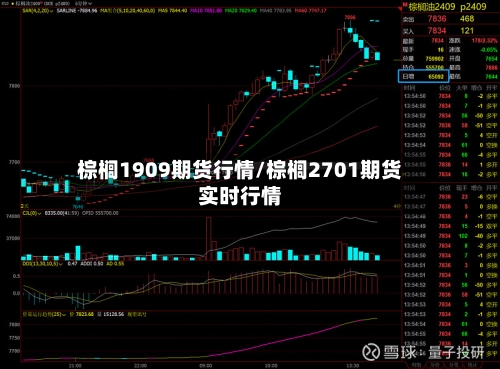 棕榈1909期货行情/棕榈2701期货实时行情-第1张图片