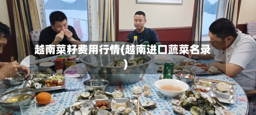 越南菜籽费用行情(越南进口蔬菜名录)-第1张图片
