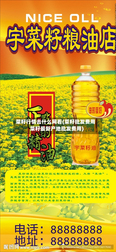 菜籽行情去什么网看(菜籽批发费用菜籽最新产地批发费用)-第1张图片