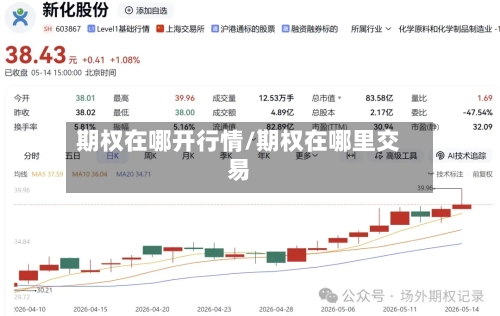 期权在哪开行情/期权在哪里交易-第1张图片