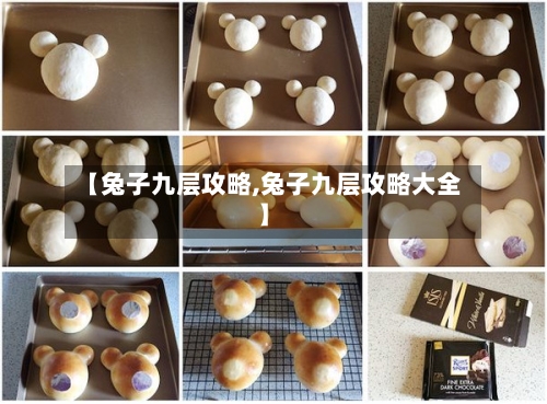 【兔子九层攻略,兔子九层攻略大全】-第1张图片
