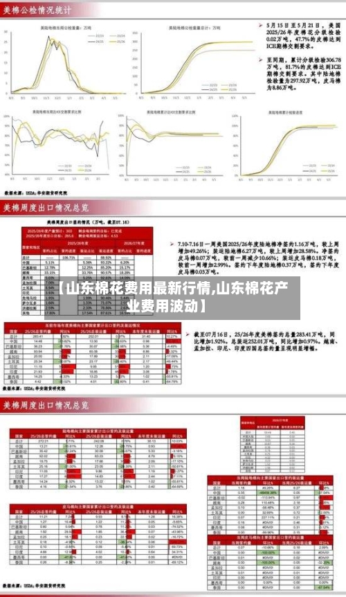 【山东棉花费用最新行情,山东棉花产业费用波动】-第1张图片