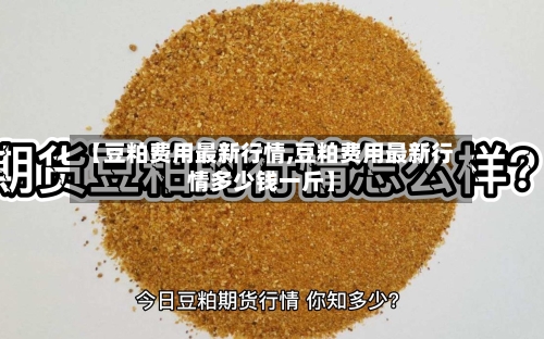 【豆粕费用最新行情,豆粕费用最新行情多少钱一斤】-第1张图片