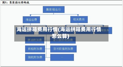 海运拼箱费用行情(海运拼箱费用行情怎么算)-第1张图片