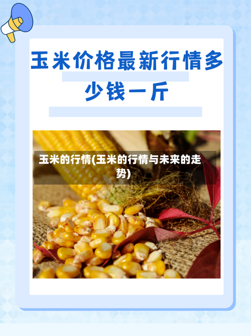 玉米的行情(玉米的行情与未来的走势)