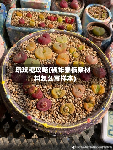 玩玩糖攻略(被诈骗报案材料怎么写样本)-第1张图片