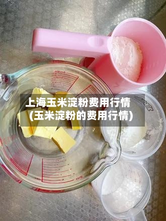 上海玉米淀粉费用行情(玉米淀粉的费用行情)-第1张图片