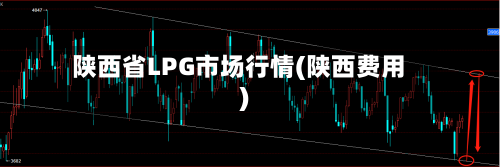 陕西省LPG市场行情(陕西费用)-第1张图片