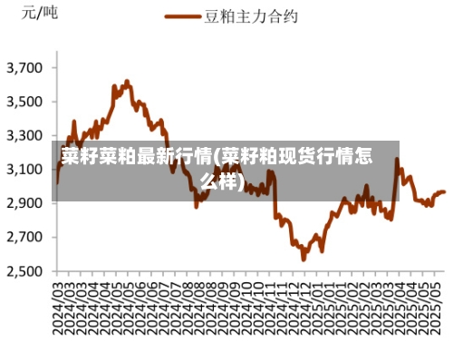 菜籽菜粕最新行情(菜籽粕现货行情怎么样)-第1张图片