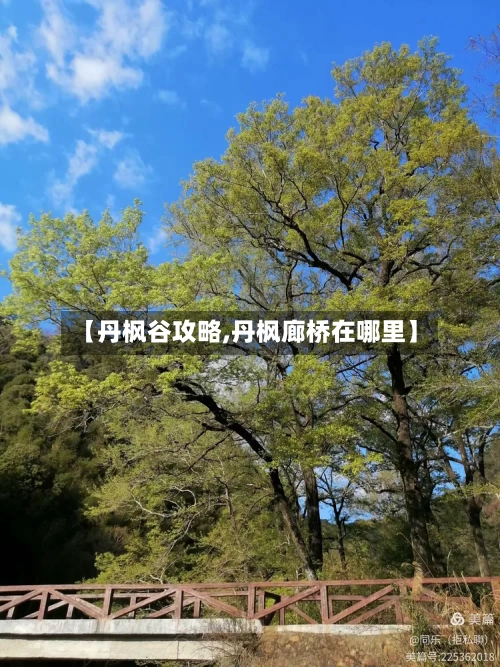 【丹枫谷攻略,丹枫廊桥在哪里】-第1张图片