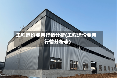 工程造价费用行情分析(工程造价费用行情分析表)-第1张图片