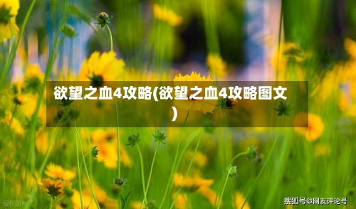 欲望之血4攻略(欲望之血4攻略图文)-第1张图片