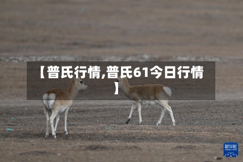 【普氏行情,普氏61今日行情】-第1张图片