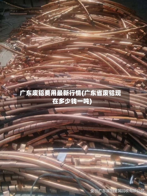广东废铝费用最新行情(广东省废铝现在多少钱一吨)-第1张图片