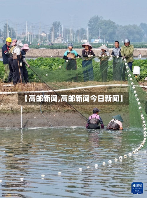 【高邮新闻,高邮新闻今日新闻】-第1张图片