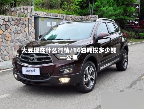 大豆现在什么行情/14油耗投多少钱一公里-第1张图片