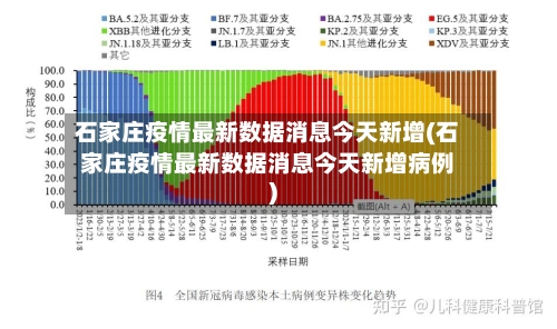 石家庄疫情最新数据消息今天新增(石家庄疫情最新数据消息今天新增病例)-第1张图片