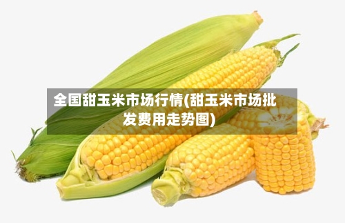 全国甜玉米市场行情(甜玉米市场批发费用走势图)-第1张图片