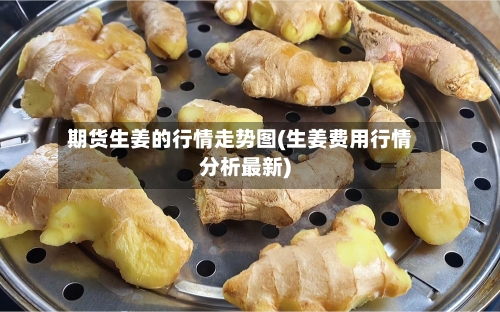 期货生姜的行情走势图(生姜费用行情分析最新)-第1张图片