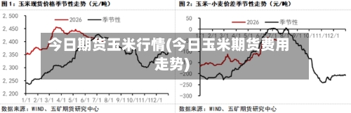 今日期货玉米行情(今日玉米期货费用走势)-第1张图片