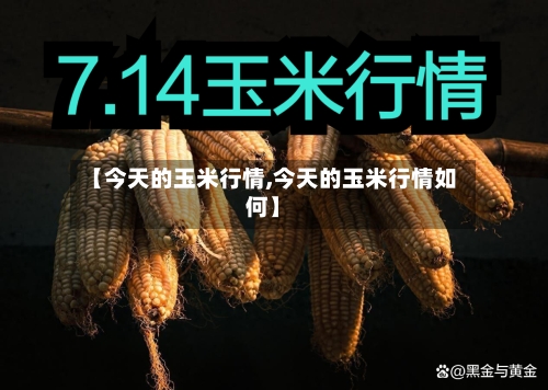 【今天的玉米行情,今天的玉米行情如何】-第1张图片