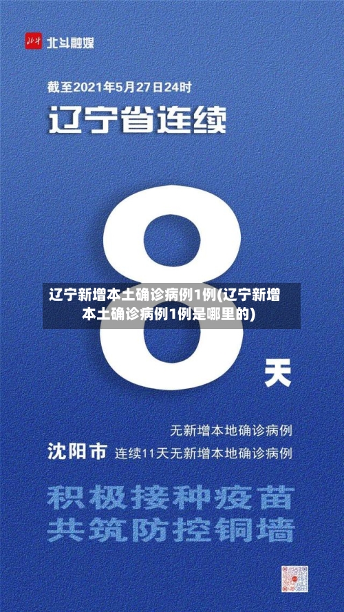 辽宁新增本土确诊病例1例(辽宁新增本土确诊病例1例是哪里的)-第1张图片