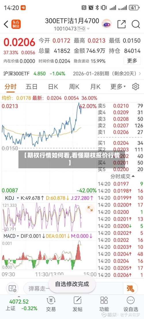 【期权行情如何看,看懂期权报价行情】-第1张图片
