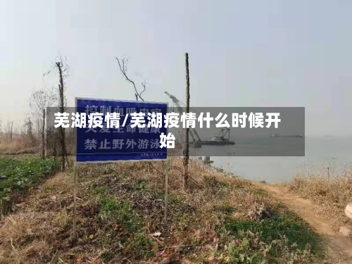 芜湖疫情/芜湖疫情什么时候开始-第1张图片