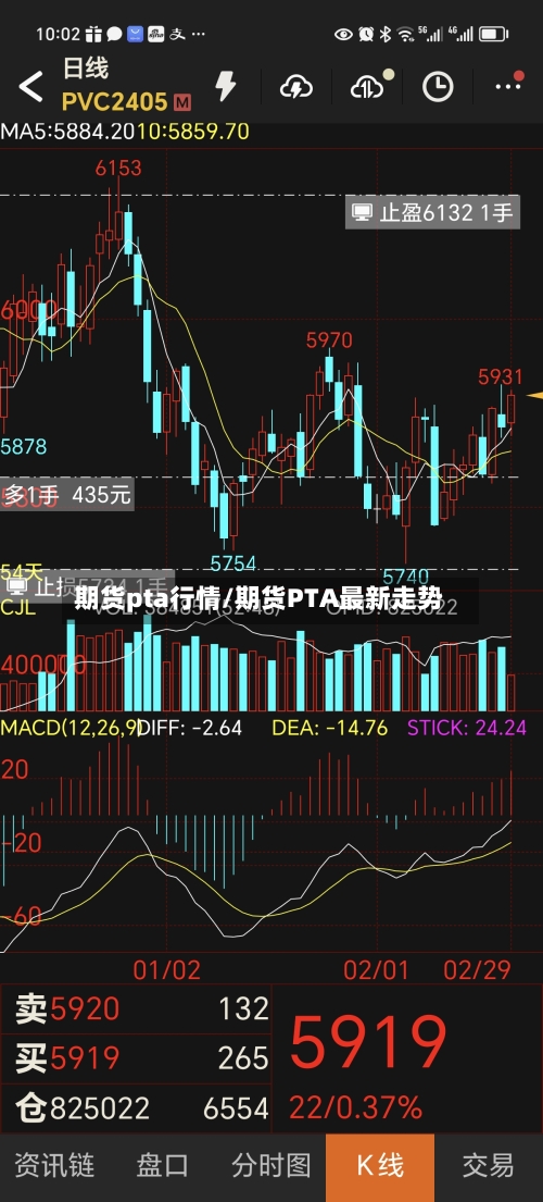 期货pta行情/期货PTA最新走势-第1张图片