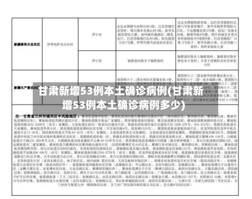 甘肃新增53例本土确诊病例(甘肃新增53例本土确诊病例多少)-第1张图片