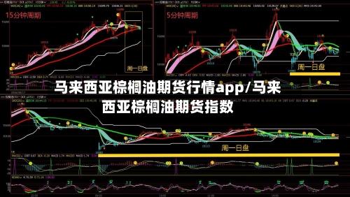 马来西亚棕榈油期货行情app/马来西亚棕榈油期货指数-第1张图片