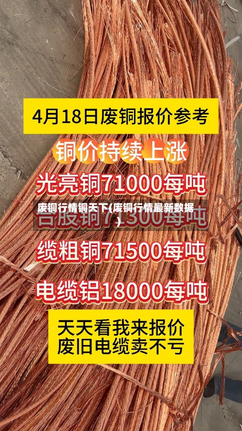 废铜行情铜天下(废铜行情最新数据)-第1张图片