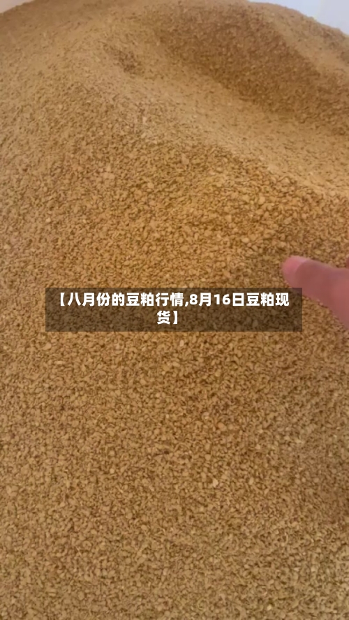 【八月份的豆粕行情,8月16日豆粕现货】-第2张图片