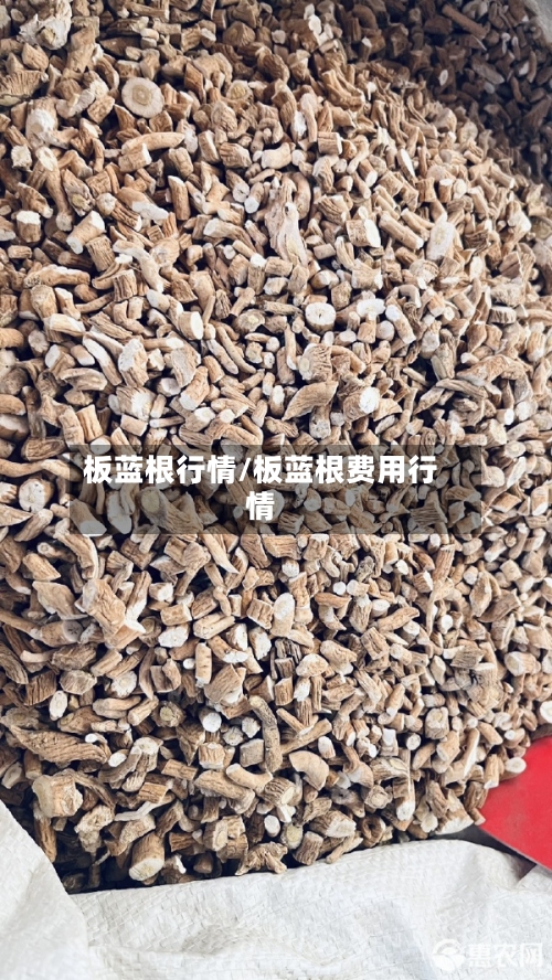 板蓝根行情/板蓝根费用行情-第1张图片