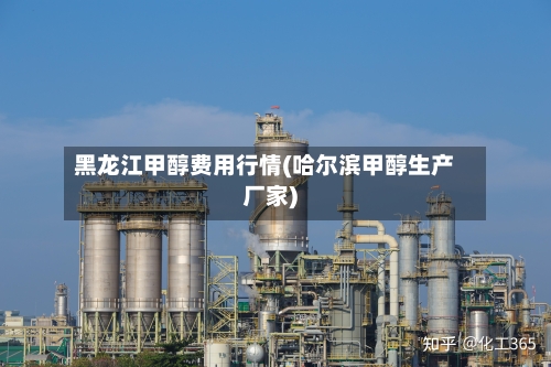 黑龙江甲醇费用行情(哈尔滨甲醇生产厂家)-第2张图片