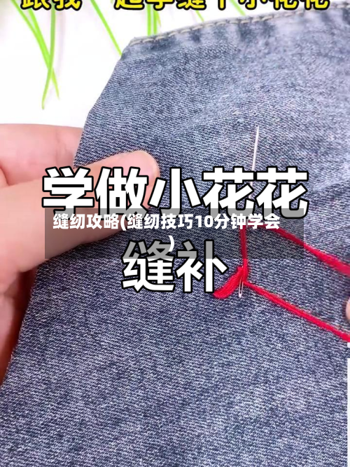 缝纫攻略(缝纫技巧10分钟学会)-第1张图片