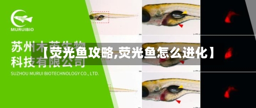 【荧光鱼攻略,荧光鱼怎么进化】-第1张图片