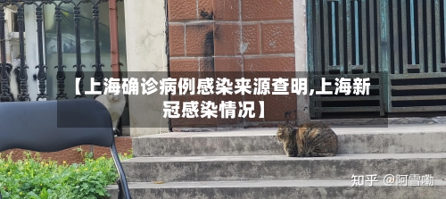 【上海确诊病例感染来源查明,上海新冠感染情况】