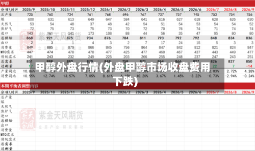 甲醇外盘行情(外盘甲醇市场收盘费用下跌)-第1张图片