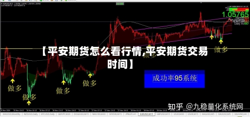 【平安期货怎么看行情,平安期货交易时间】-第1张图片