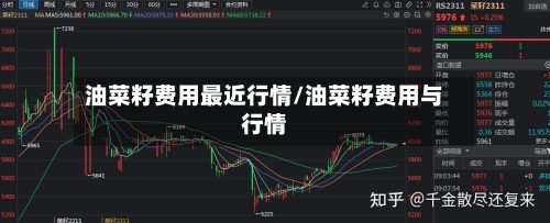 油菜籽费用最近行情/油菜籽费用与行情-第1张图片
