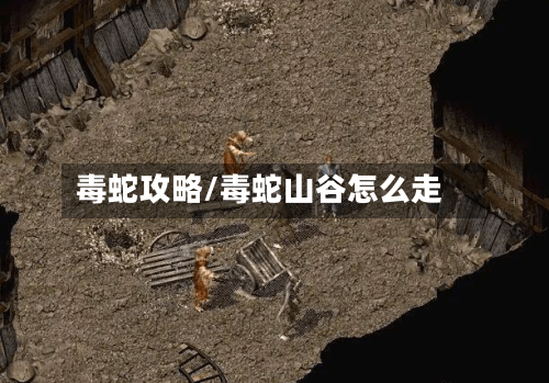 毒蛇攻略/毒蛇山谷怎么走-第3张图片